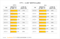 以上客户端使用用户规模正在100万以下